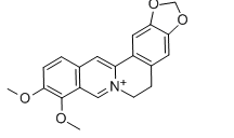 甲亚碱H5941-07-1